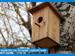 Конкурс на лучший скворечник