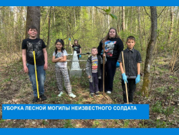 Благоустройство территории у памятника Неизвестному солдату д. Михейцево